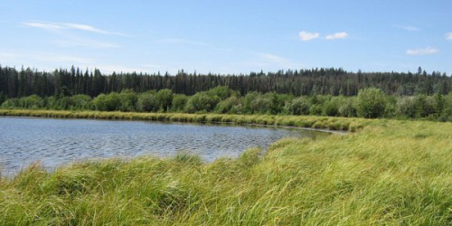 Ambiental CUERPOS DE AGUA – LAGOS -  RIOS – MAR