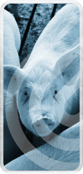 MANTENIMIENTO EFICIENCIA y OLORES